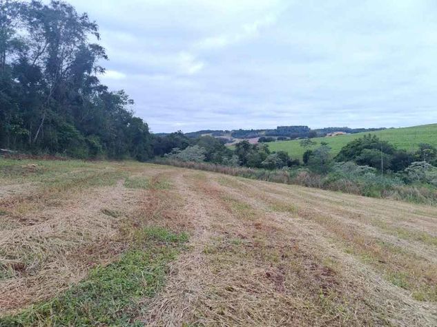 Chácara 42.600m2 a 200m da Venda dos Preto - Londrina