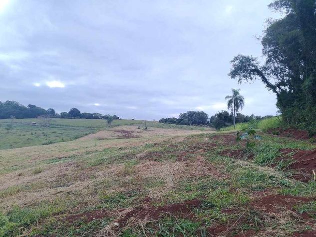 Chácara 42.600m2 a 200m da Venda dos Preto - Londrina