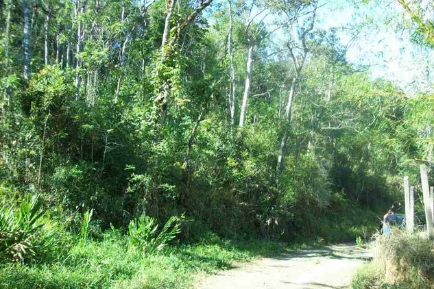 Terreno para Venda Santa Isabel / SP