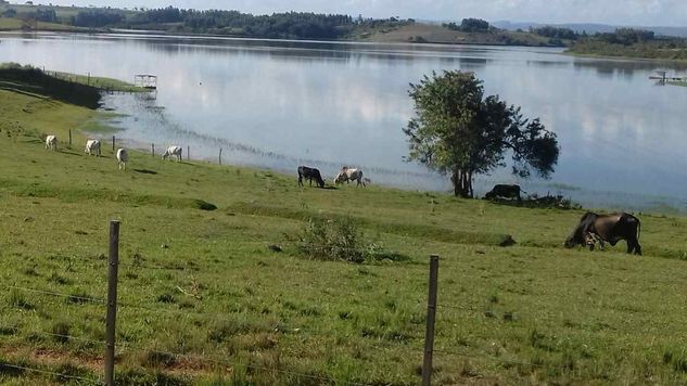 Linda Chácara para Lazer 2.300mts área Total Carlópolis PR