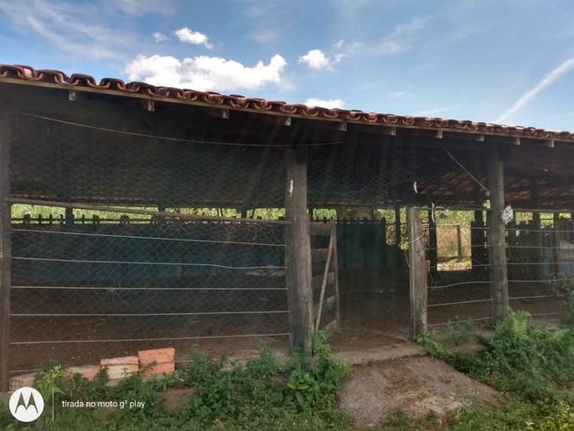 Fazenda em Fortuna de Minas MG -130 Hectares