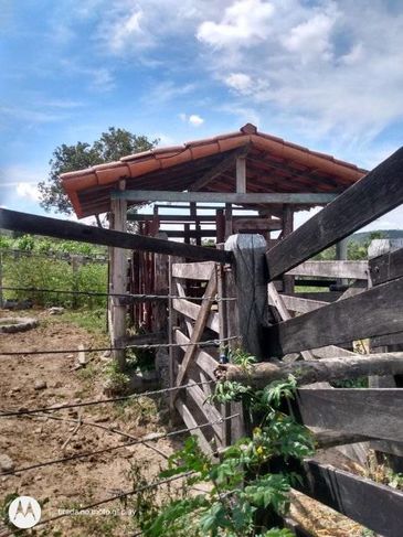 Fazenda em Fortuna de Minas MG -130 Hectares