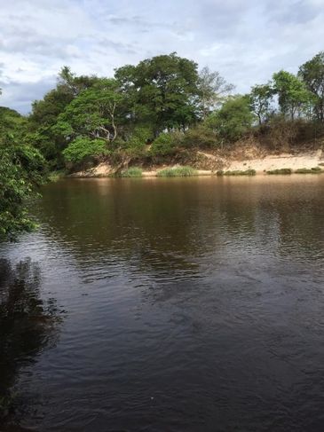 Terreno em Corinto Mg- 10 Hectares