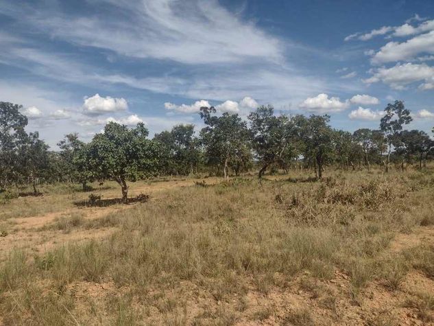 Terreno em Corinto Mg- 10 Hectares