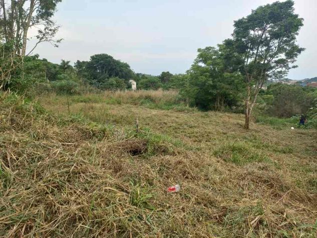 Chácara de 5.000 MT em Frente a Estrada da Cegonha