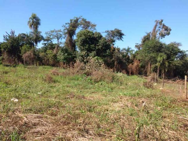 Chácara de 9.200 MT de Frente Pr518 em Guaravera