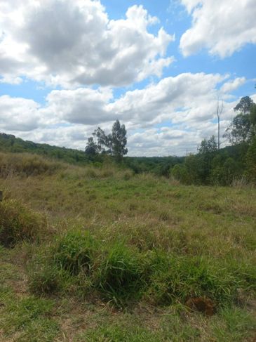 Chácara de 5.000 MT em Frente a Estrada da Cegonha