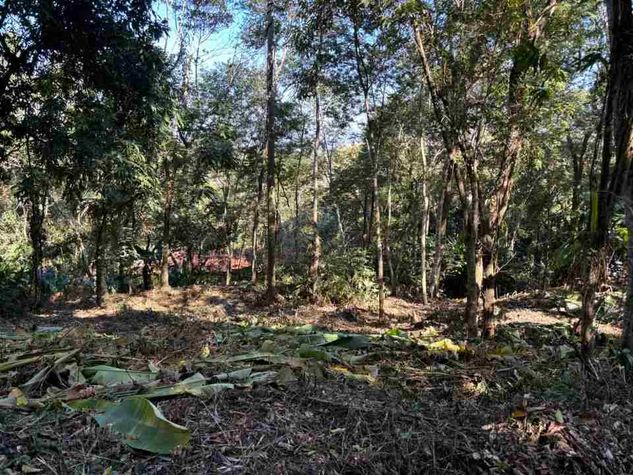 Oportunidade Imperdível: Venda de Dois Terrenos no Condomínio Bucólico