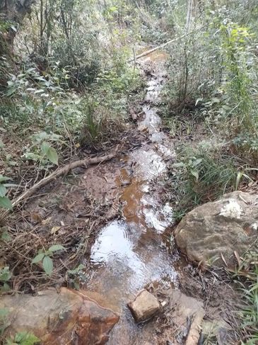 Terreno Excepcional em Senhor do Bonfim BA