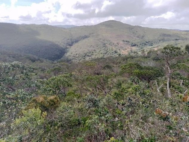 Terreno Excepcional em Senhor do Bonfim BA