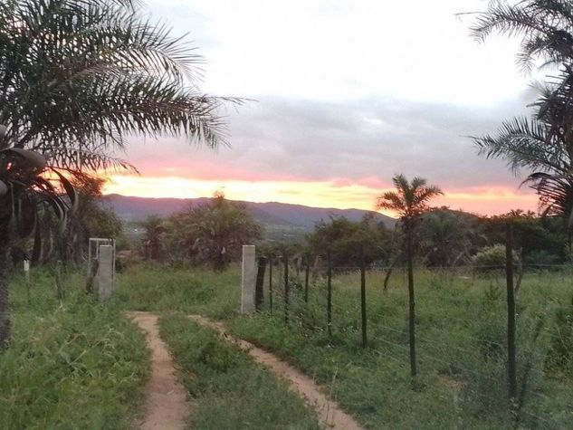 Chácara na Umburana, em Senhor do Bonfim BA