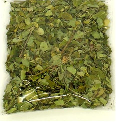 Chá Moringa Oleifera