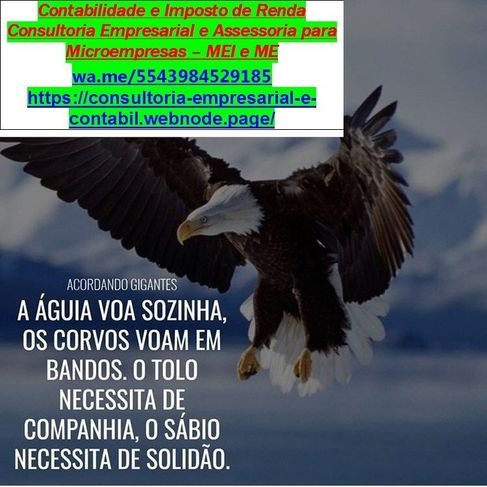 Negócios – Micros e Pequenas Empresa – Mei/me/autonomos/liberais Servi