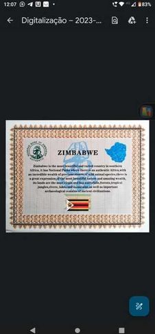 Vendo Imagem Certificado Zimbabwe Centillion Contêiner Marca D'água