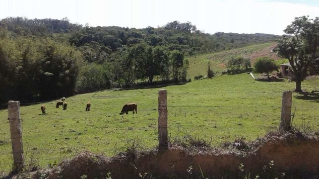 Rancho dos Bugres Urussanga