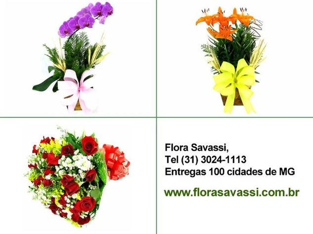 Santana dos Montes, Nova Era MG Floricultura Flores Cestas e Coroas