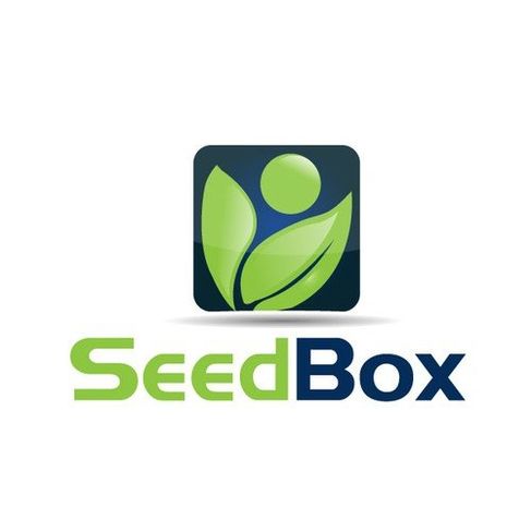 Seedbox 500 GB