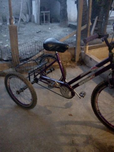 Bicicleta Triciclo