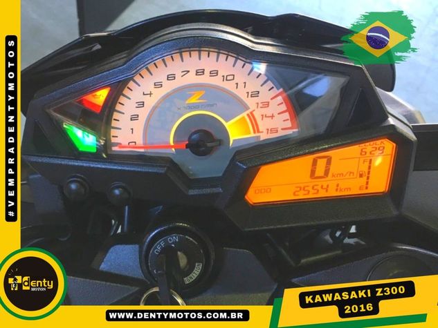 Moto Kawasaki Z300 Revisada