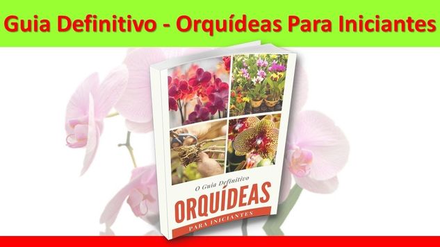 Guia Definitivo - Orquídeas