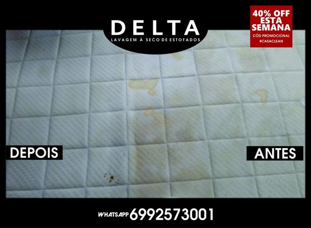Delta Lavagem e Higienização à Seco Profissional