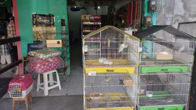 Passo Loja Pet Shop