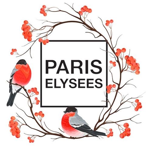 Perfumes Paris Elysees - Somos Especialistas