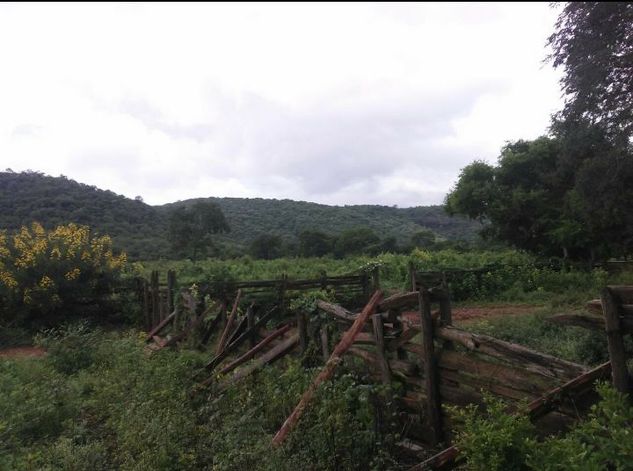 Fazenda Laranjeiras - Norte de Minas Gerais