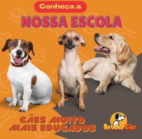 Escola para Cães Brudercão em São José dos Campos