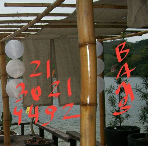 Comprar Bambu Tratado no Leblonbambu RJ