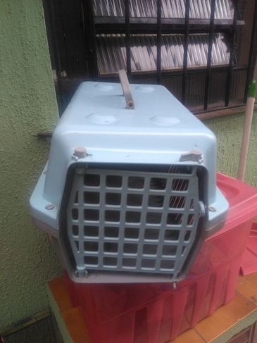 Caixa Transportadora para Caes e Gatos