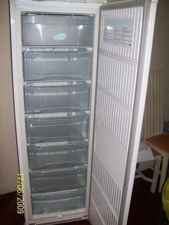 Freezer Eletrolux 250 L