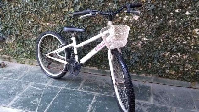 Bicicleta Caloi Ceci Aro 24