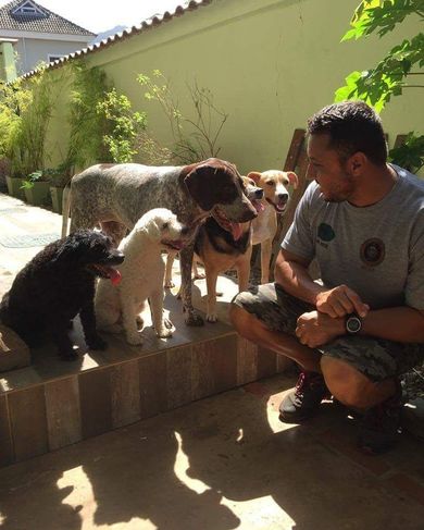 Adestramento de Cães