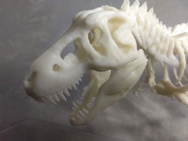 Esqueleto Tiranossauro Rex em ABS