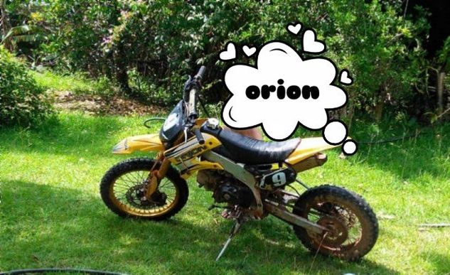 Moto Orion