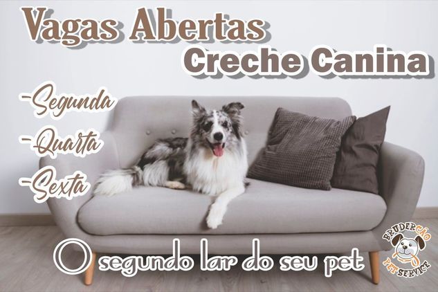 Hospedagem e Creche de Cães em São José dos Campos