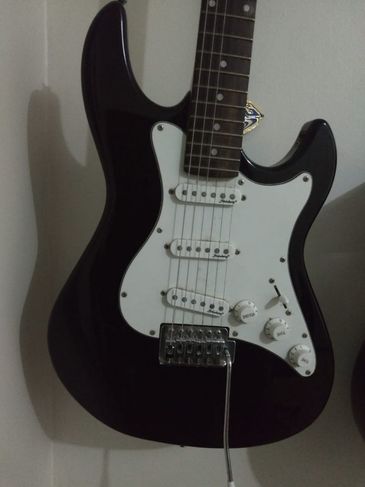Strinberg Stratocaster