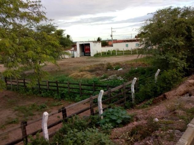 Vendo área de Terras em Delmiro Gouveia - AL