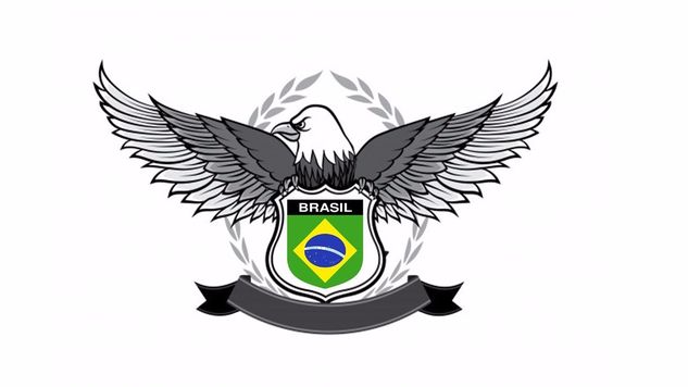 Detetive Brasil - Investigação Particular e Empresarial