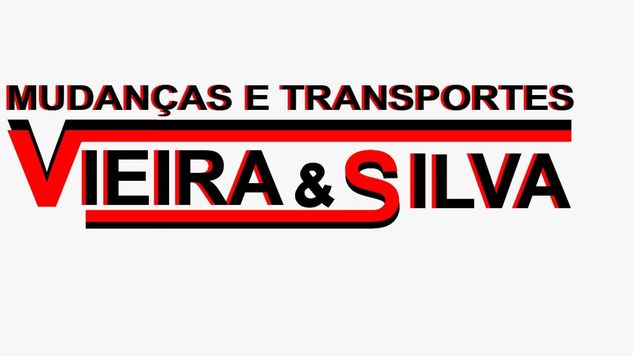 Mudança e Transportes Sanine Vieira