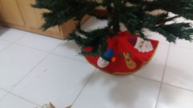 árvore de Natal com um Kit, Guirlanda, Bolas e Etc
