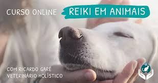 >curso Online Reiki em Animais
