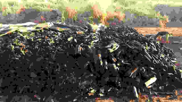 Carvão Vegetal de Eucalipto