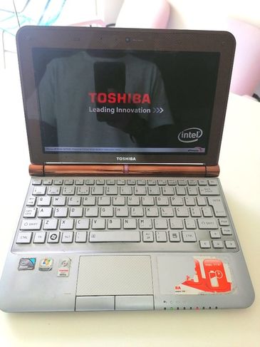 Netbook Toshiba Nb405 - 2gb Ram 300gb Disco