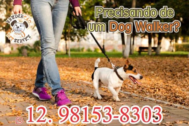 Está Precisando de um Passeador de Cães em São José dos Campos?
