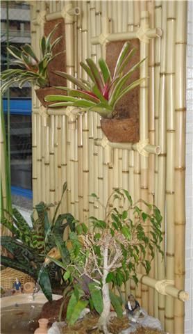 Venda Bambu no Anilbambu no Anil RJ