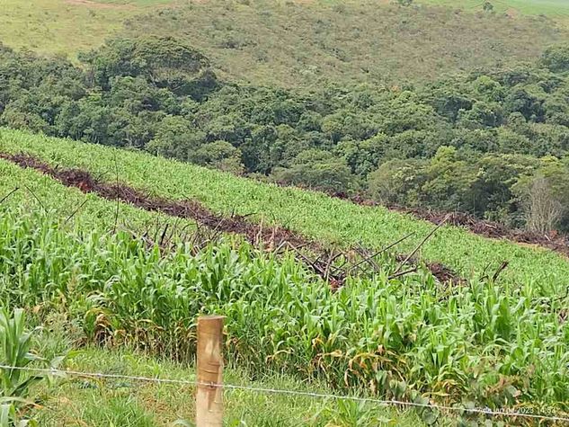Fazenda à Venda, 43 Hectares, R$ 2,7 Milhões em Itaguara, MG