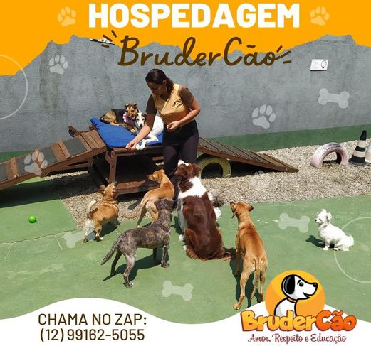 Brudercão, Sua Hospedagem de Cães em Sjcampos e Jacareí