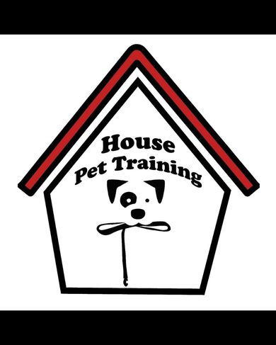 Adestramento de Cães